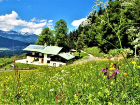 Atemberaubendes Bergpanorama mit herrlicher alpinen Almlandschaft
